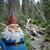 Debbie Wagstaff Maughan's profile image