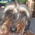 Marcia Wilson's profile image