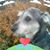 Sharon Moster's profile image