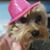 Mike Sattley's profile image