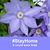 Sharon Ericson's profile image