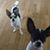 Terri Barnes's profile image