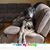 Rhonda Arend's profile image