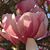 Linda Rudy Beaty's profile image