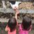 Joslyn Sergio Ferrara's profile image