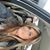 Crystal Nolan's profile image