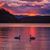 Deborah Rohm's profile image