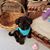 PurpleJudy Hayes's profile image
