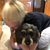 Shannon Druck's profile image