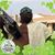 Leonard Franklin Jr.'s profile image