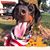 Travis Jo's profile image