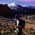 Jose Pablo Lorente's profile image