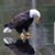 Jackie Hennerley's profile image