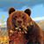 Andrea Owens's profile image