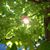 Becket Franks's profile image