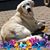 Kathy Lesniak-Starko's profile image