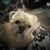 Jason Alback's profile image