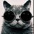 Visceral Reaction's profile image