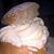 Ritva Salonen's profile image
