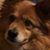 Tammie Jordan's profile image