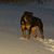 Kenny Mattern's profile image