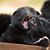 Lynn Wilson's profile image
