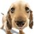 Brenda Maurer's profile image