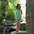 Bryon Bechtel's profile image