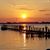 Dawn Shoffer's profile image