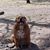 Lisa Crawford's profile image