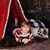 Emily Giddens Morris's profile image