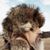 Steve DeHaan's profile image