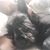 Na Omi's profile image