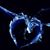 Shannon Kennedy's profile image
