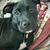 Tara Johnson Hetsler's profile image
