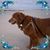 Jean Meloni's profile image