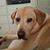 Catherine Duffley's profile image