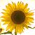 Ruth Binsbacher Kolb's profile image