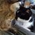 Stel Knudson's profile image