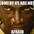 Malak Amat's profile image