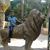 Yousef Mohamed's profile image