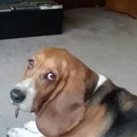 Peggy Bowery's profile image