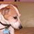 Jackie Godula Spadea's profile image