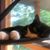 Cindy Claxton's profile image