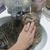 Susanne Spurgeon's profile image