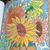 Amy Fraley's profile image