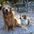 Patricia Margetis's profile image