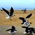Connie Moreland Phair's profile image
