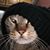 Deb Fletcher's profile image