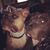 Stephanie Restaino's profile image